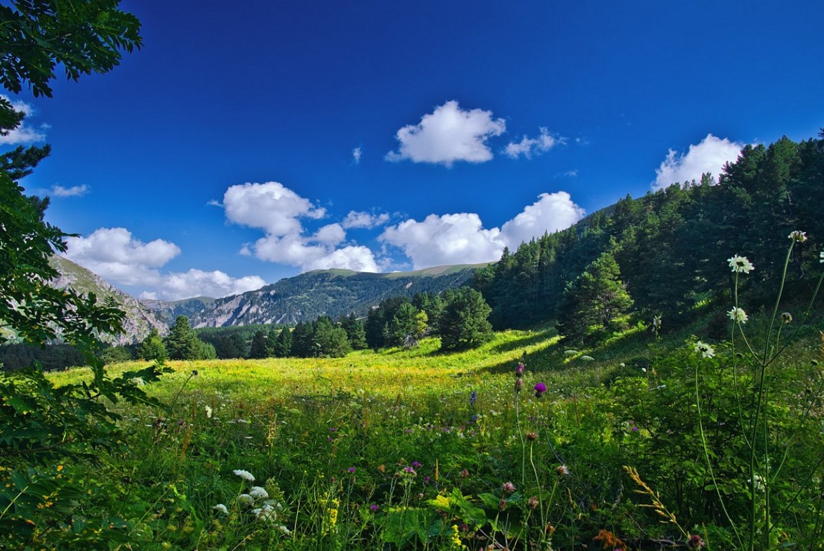 Краснодарский Край Село Белая Фото